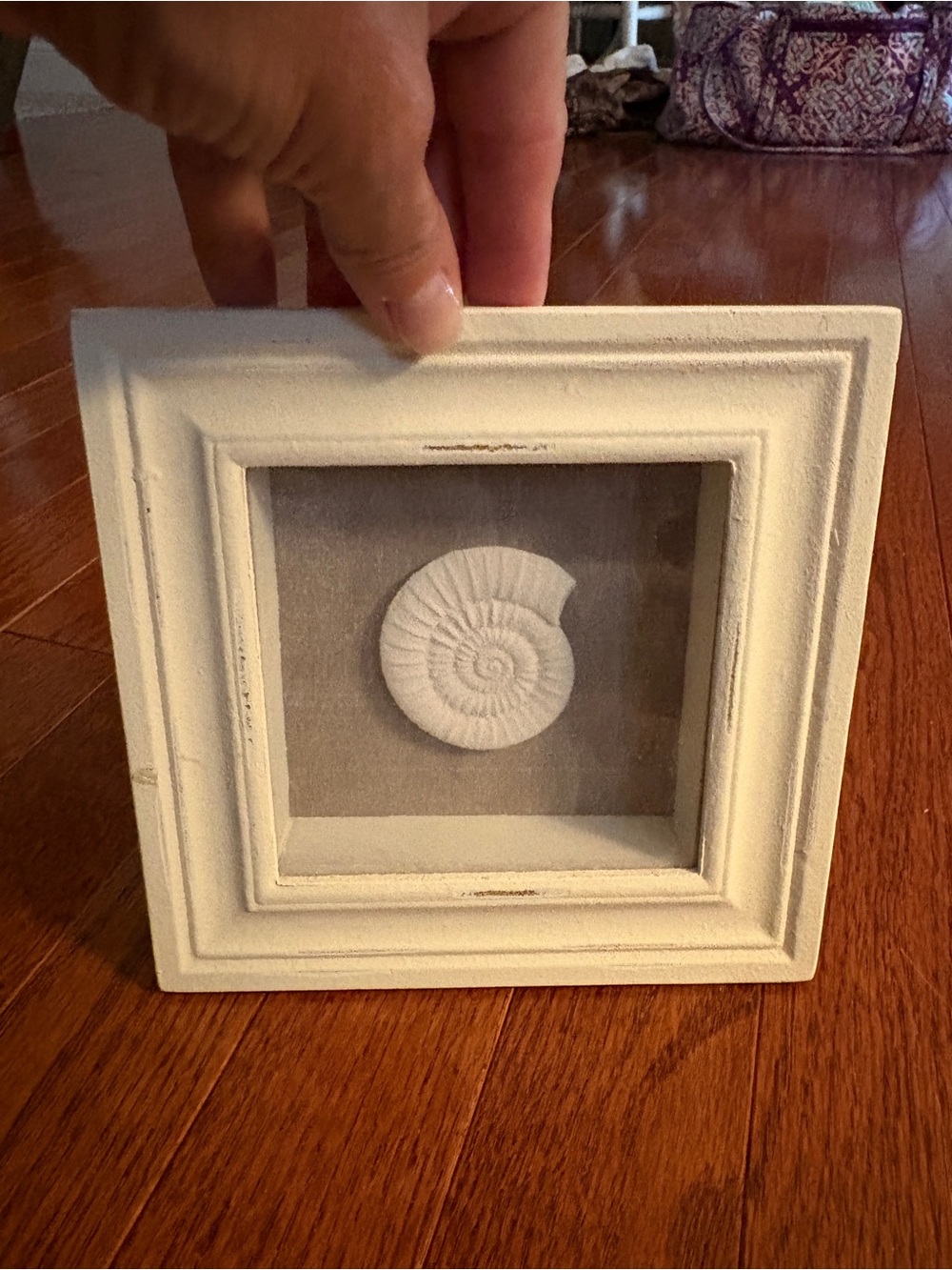 Distressed White Nautilus Shell Shadow Box Frame - Picture 2 of 4